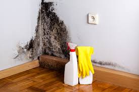 Dehumidification Services in Hicksville, NY